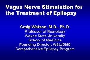 Vagus Nerve Stimulation for the Treatment of Epilepsy