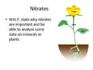 Nitrates WALT state why nitrates are important and