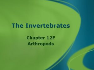 The Invertebrates Chapter 12 F Arthropods Arthropods Arthropoda