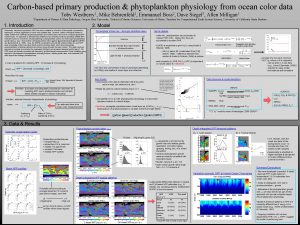 Carbonbased primary production phytoplankton physiology from ocean color