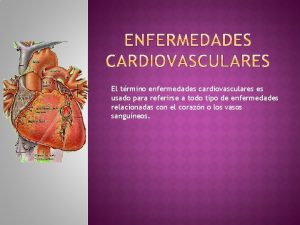 El trmino enfermedades cardiovasculares es usado para referirse