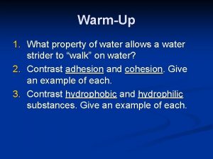 WarmUp 1 What property of water allows a