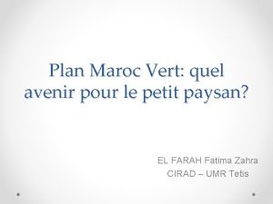 Plan Maroc Vert quel avenir pour le petit