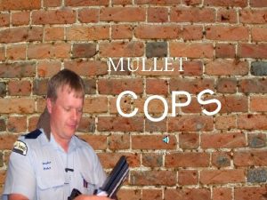 MULLET C OP S CLICK Mullet Police 2004