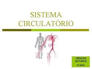 SISTEMA CIRCULATRIO CINCIAS NATURAIS 9 ANO Sistema Circulatrio