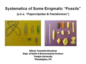 Systematics of Some Enigmatic Fossils a k a