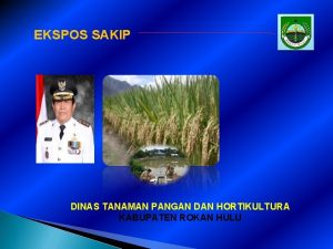 EKSPOS SAKIP DINAS TANAMAN PANGAN DAN HORTIKULTURA KABUPATEN