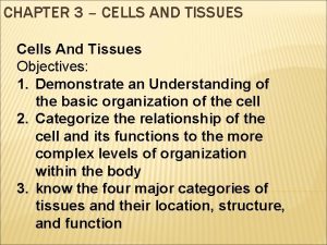 CHAPTER 3 CELLS AND TISSUES Cells And Tissues
