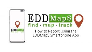 How to Report Using the EDDMap S Smartphone