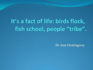 Its a fact of life birds flock fish