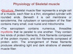 Physiology of Skeletal muscle Structure Skeletal muscle fiber