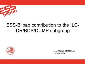 ESSBilbao contribution to the ILCDRBDSDUMP subgroup J L