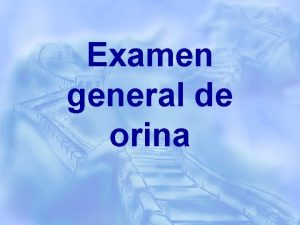 Examen general de orina Urinary System Purpose General