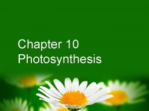 Chapter 10 Photosynthesis Photosynthesis Process by which plants