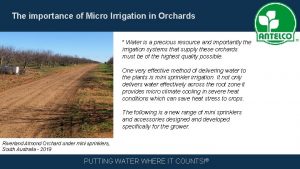 The importance of Micro Irrigation in Orchards Water