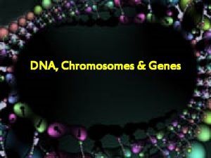 DNA Chromosomes Genes Overview 1 What is DNA