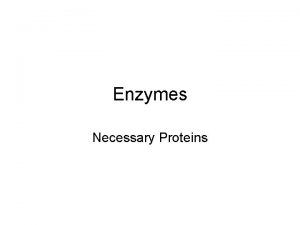 Enzymes Necessary Proteins Catalysts Catalysts are proteins Speed