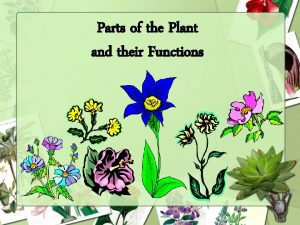 Parts of the Plant and their Functions Come