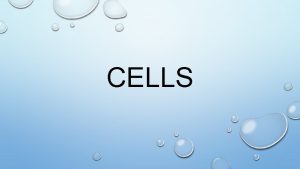 CELLS CELL THEORY 1 ALL LIVING THINGS ARE