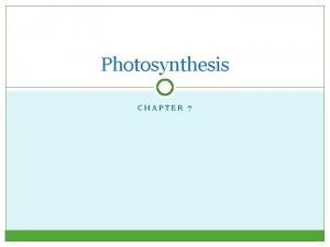Photosynthesis CHAPTER 7 Photosynthetic Organisms All life on