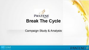 Break The Cycle Campaign Study Analysis Campaign Name