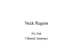 Neck Region PA 544 Clinical Anatomy Neck Topic