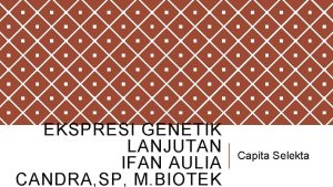 EKSPRESI GENETIK LANJUTAN IFAN AULIA CANDRA SP M