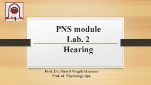 PNS module Lab 2 Hearing Prof Dr Sherif