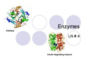 Enzymes Aldolase LN 4 insulindegrading enzyme What is