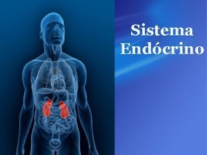 Sistema Endcrino Formas de Transmisin de informacin Sistema