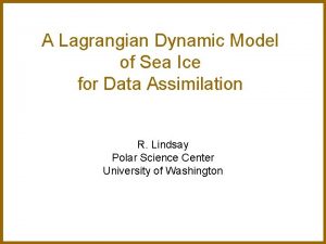 A Lagrangian Dynamic Model of Sea Ice for