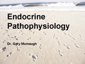 Endocrine Pathophysiology Dr Gary Mumaugh Essentials of Endocrinology