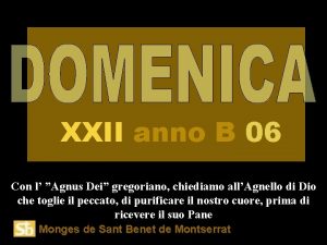 XXII anno B 06 Con l Agnus Dei