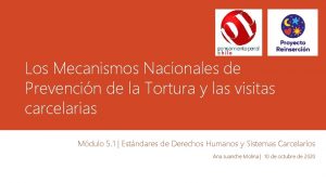 Los Mecanismos Nacionales de Prevencin de la Tortura