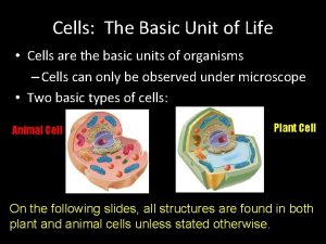 Cells The Basic Unit of Life Cells are