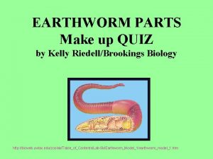 EARTHWORM PARTS Make up QUIZ by Kelly RiedellBrookings