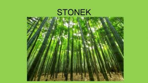 STONEK vtinou nadzemn st rostliny vede anorganick ltky