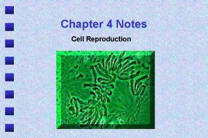 Chapter 4 Notes Cell Reproduction 1 Mitosis clip