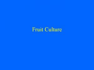 Fruit Culture Fruit Culture Fruit Culture is a