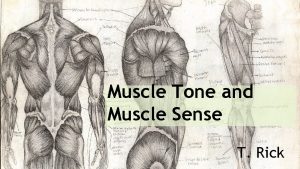 Muscle Tone and Muscle Sense T Rick Muscle