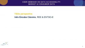 CEER WEBINAR ON DATA ACCESSIBILITY MARKET CONSUMER DATA