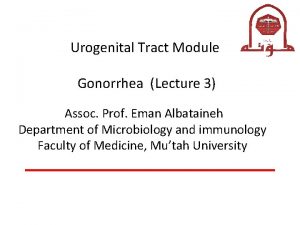 Urogenital Tract Module Gonorrhea Lecture 3 Assoc Prof