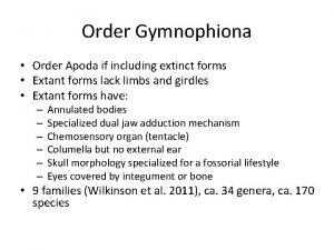 Order Gymnophiona Order Apoda if including extinct forms