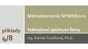 Mikroekonomie NPMKB21 pklady 48 Nkladov optimum firmy Ing
