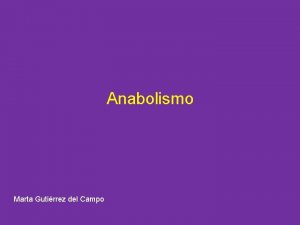 Anabolismo Marta Gutirrez del Campo Fotosntesis CONCEPTO Proceso