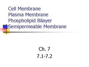 Cell Membrane Plasma Membrane Phospholipid Bilayer Semipermeable Membrane