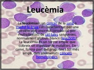 Leucmia La leucmias un cncer de la sang