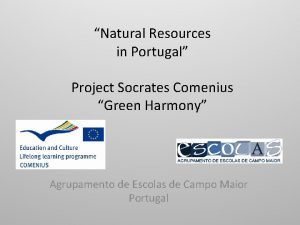 Natural Resources in Portugal Project Socrates Comenius Green