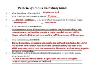 Ribonucleic Acid Proteins Protein synthesis Transcription translation During