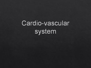 Cardiovascular system Measure How your heart beats per